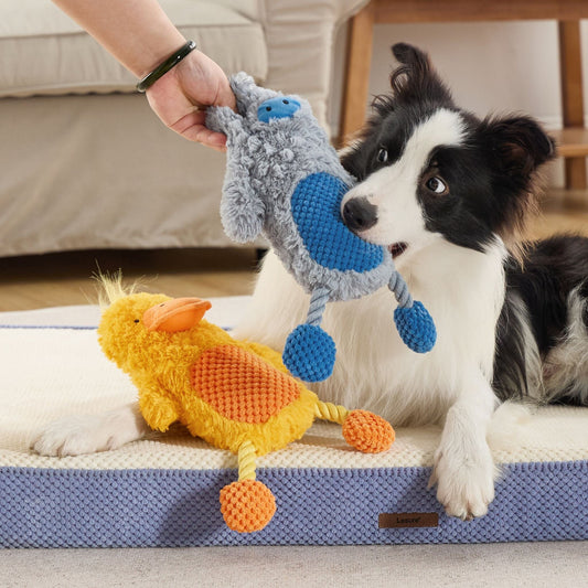 Squeaky Toys Dog Toys Lesure Pet