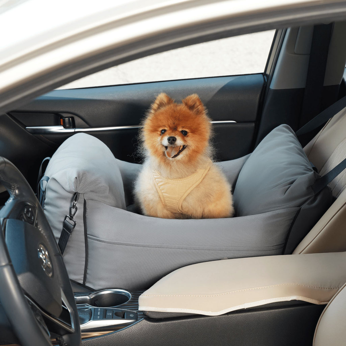 Booster Seat Car Bed – Lesure Pet