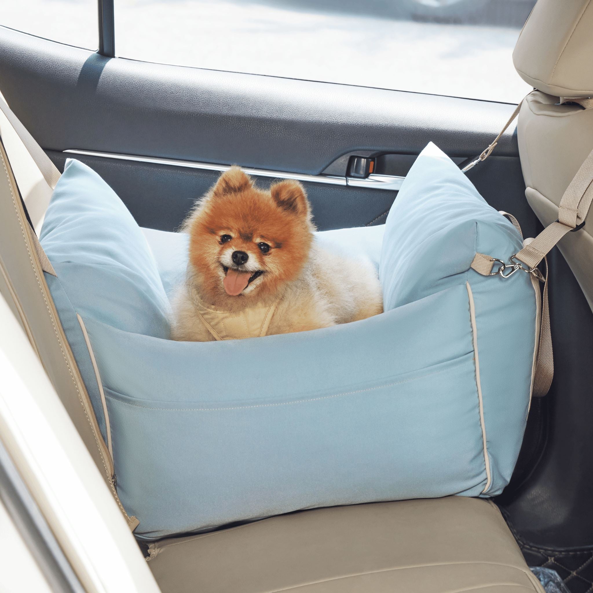 Pet car outlet