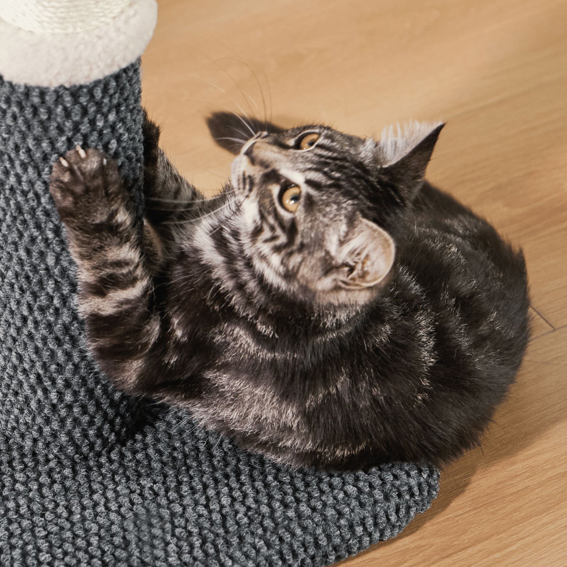 Sisal Cat Scratching Post Pet Supplies Lesure Pet
